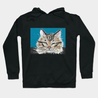 Tabby cat face Hoodie